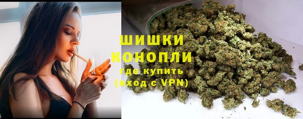 дживик Елизово