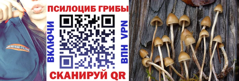 как найти закладки Лениногорск гидра рабочий сайт Галлюциногенные грибы Magic Shrooms