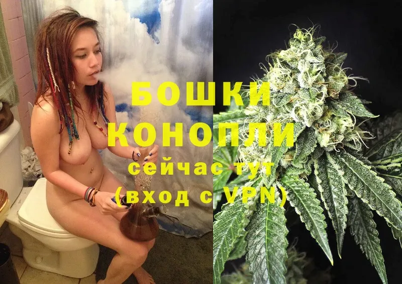 купить наркотики сайты  Лениногорск  Марихуана THC 21% 