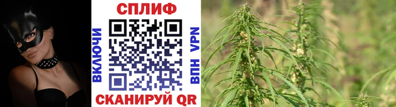 Шишки марихуана Ganja  Лениногорск 